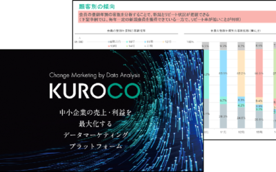 業界別分析・可視化事例 ～物販・小売編～